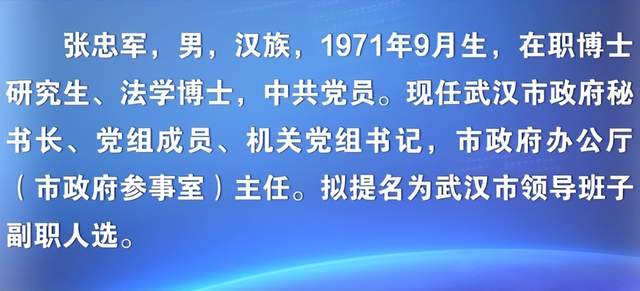 湖北最新干部任免动态概览