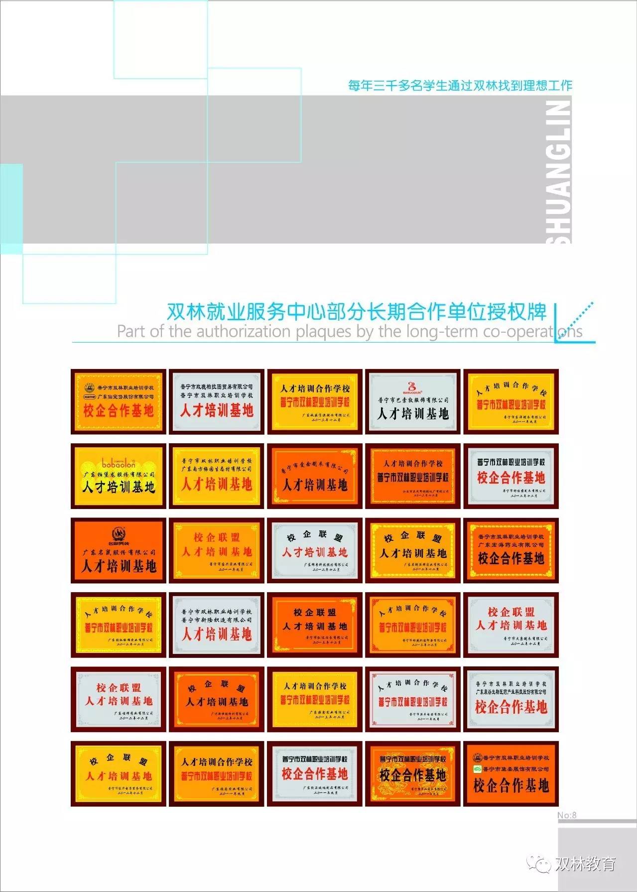 双林集团最新招聘概览，职位信息一览无余