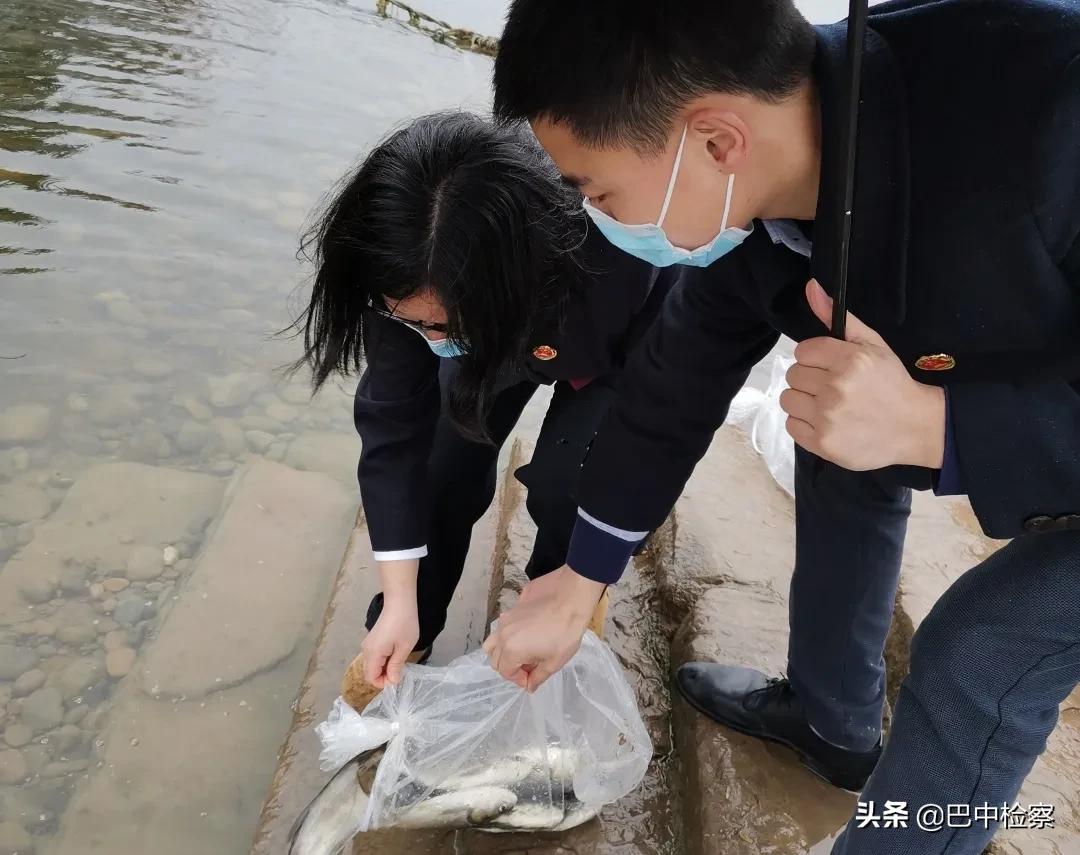 河北乙连生物引领行业变革，开启发展新篇章的最新消息