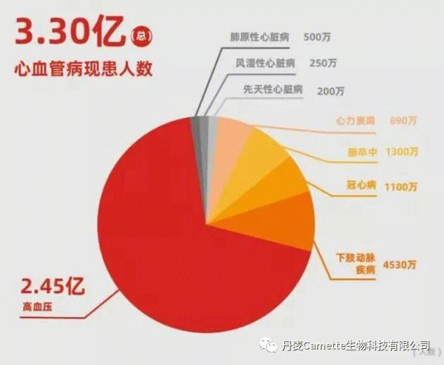 中国心脑血管疾病数据报告概览