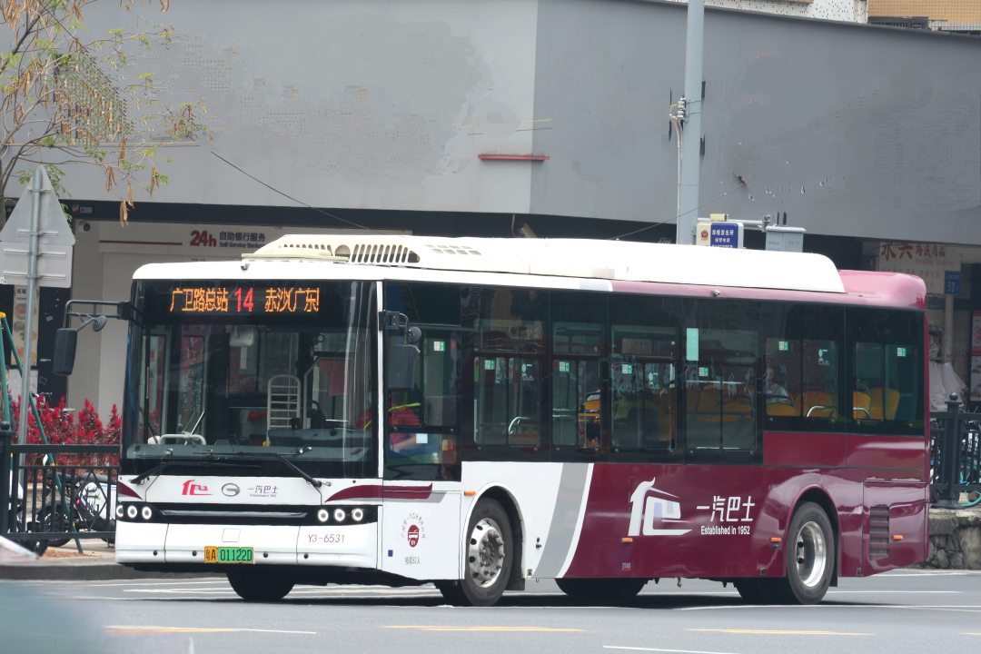 广州夜班车，城市脉动与夜色交响曲的交响