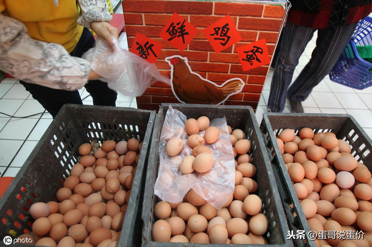 北京今日鸡蛋价格、市场走势及影响因素解析