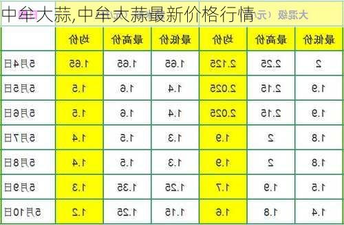 中牟大蒜最新价格行情解析