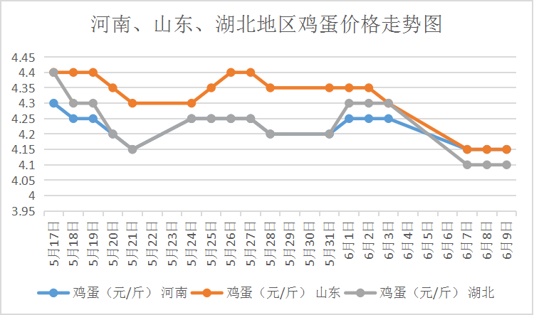 北京鸡蛋价格最新行情解析