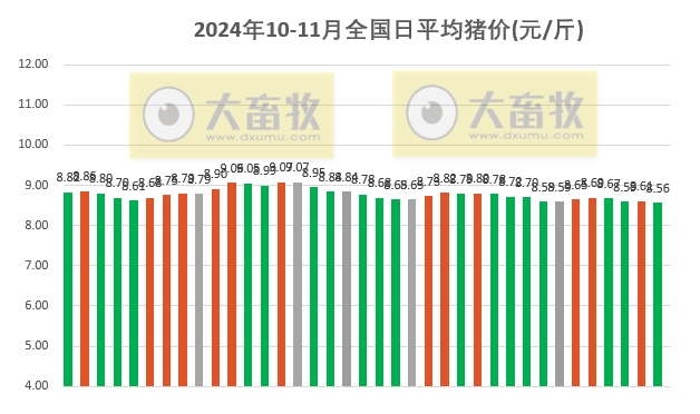 全国今日生猪价格及最新动态概览