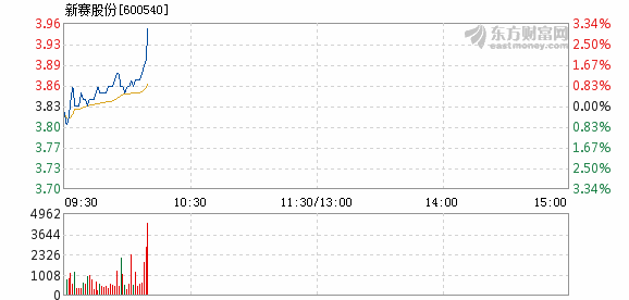 新赛股份最新动态全面解读