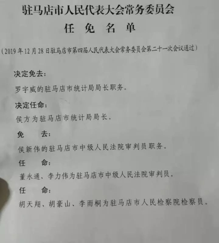 驻马店最新人事任免动态概览