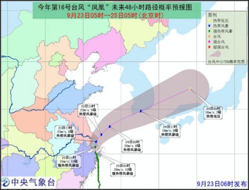 台风网最新消息路径，热带风暴动态与影响深度分析