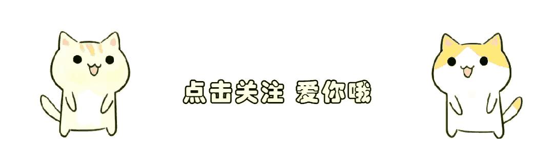 2024天天彩正版资料大全,实地考察数据执行_复古版27.422