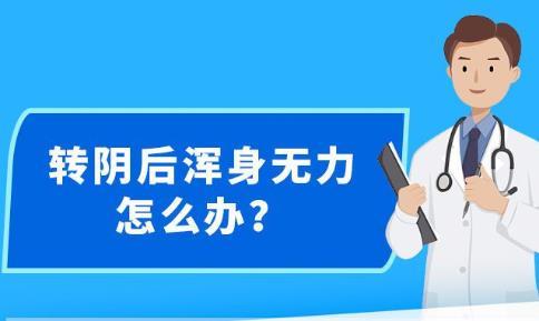 新澳精准资料免费提供网,全面设计执行方案_VE版79.172