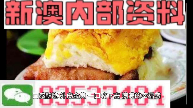 新澳内部资料精准一码,深层策略执行数据_动态版15.855