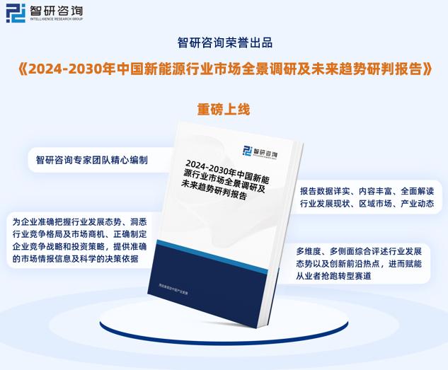 2024新奥资料免费精准071,标准化实施程序解析_AR13.115