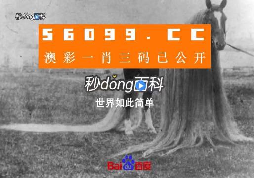 澳门今晚必中一肖一吗,创新性执行计划_动态版22.360