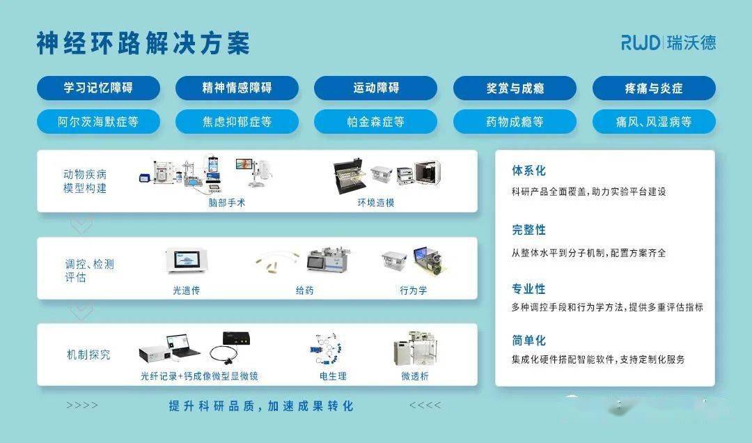 2024新奥精准资料免费大全,专家解读说明_Nexus20.223