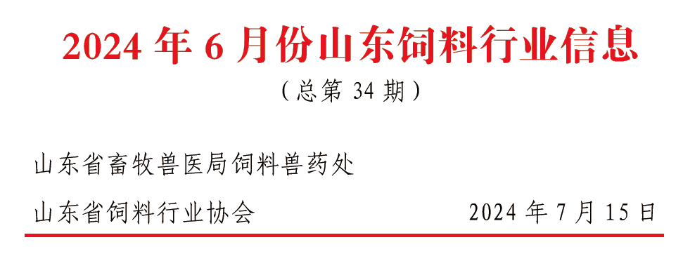 2024年澳门正版资料大全公开,实地分析解释定义_T35.385