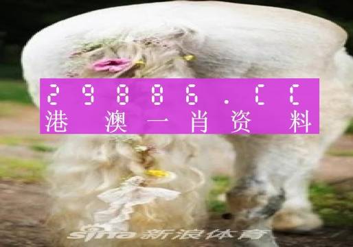 今晚必中一肖一码四不像,高效解读说明_VE版11.461