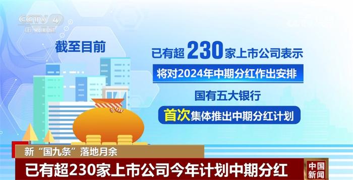 新澳2024大全正版免费资料,权威诠释推进方式_T26.660