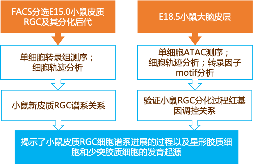 2024新奥资料免费精准,广泛的解释落实方法分析_完整版69.526