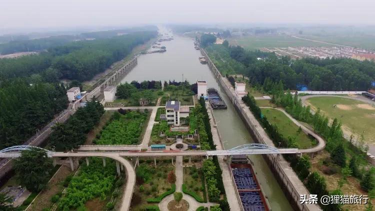 邳州冷库大蒜最新价格，市场走势与产业深度分析