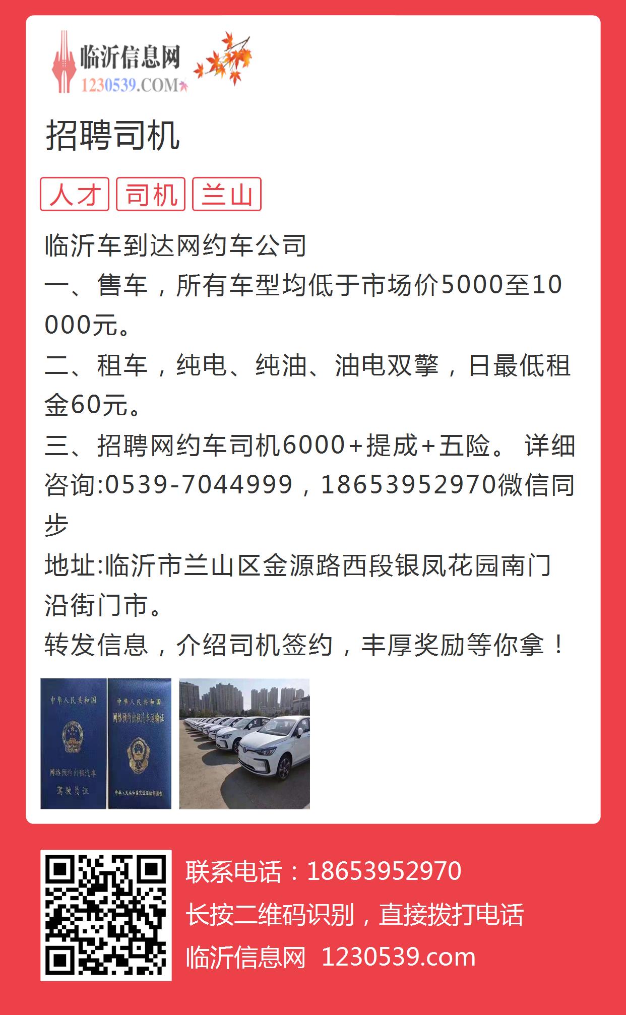 临沭司机招聘最新动态，引领行业的人才招募之旅