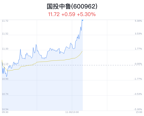 国投中鲁最新全面消息解析