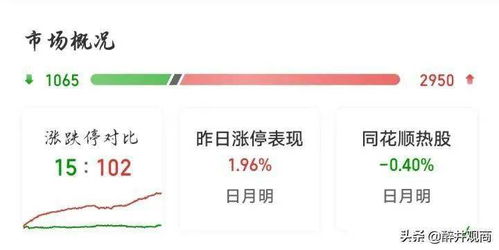 向日葵股票最新消息深度解读与分析