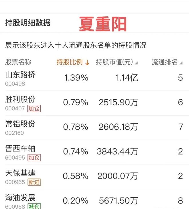 夏重阳最新持股深度解析与洞察揭秘