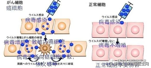 硼中子治疗肿瘤，最新突破与创新的前沿领域