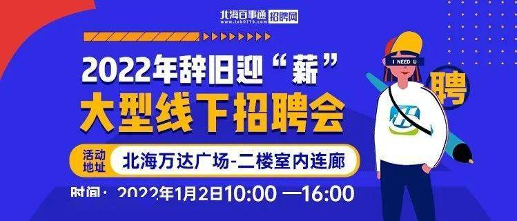 北海招聘网最新招聘动态深度解析与解读