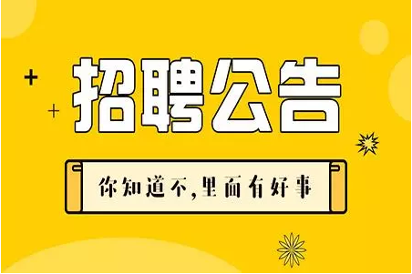 柘汪最新招聘动态与职业机会深度解析