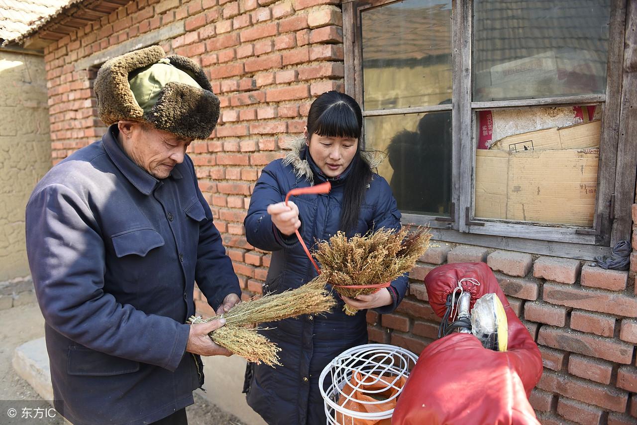 莒县长岭贴吧最新消息汇总