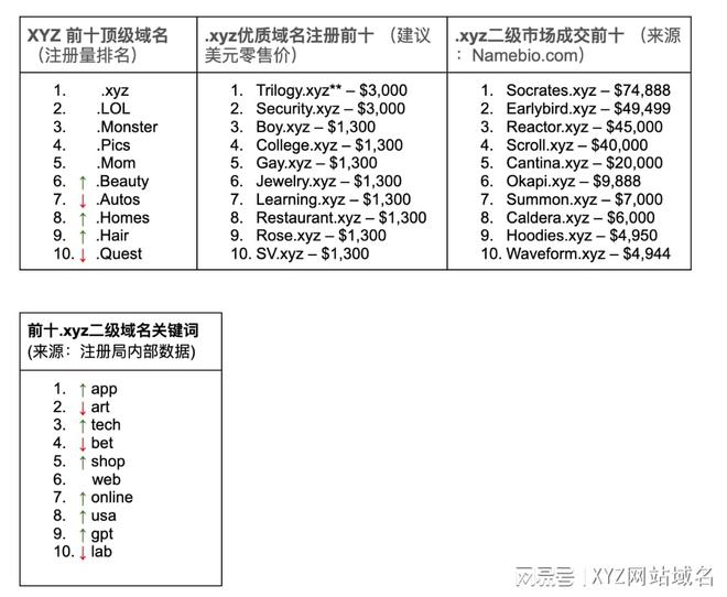 免费X站最新域名探索，深入解析、用户体验及全新解读（附域名174）