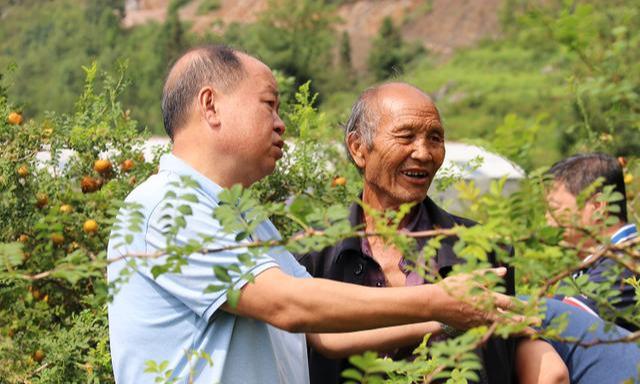 盘州市人才网最新招聘动态及其区域人才生态影响分析